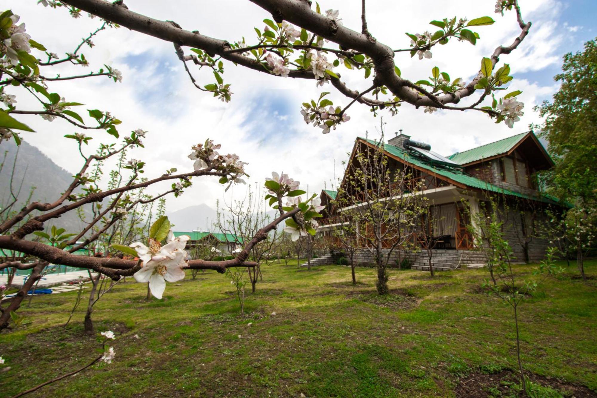 Larisa Resort Manali — Photos 2